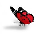 thumbnail image 2 of Red Butterfly White by Wallmonkeys Peel and Stick Graphic (36 in W x 33 in H) WM337487, 2 of 4