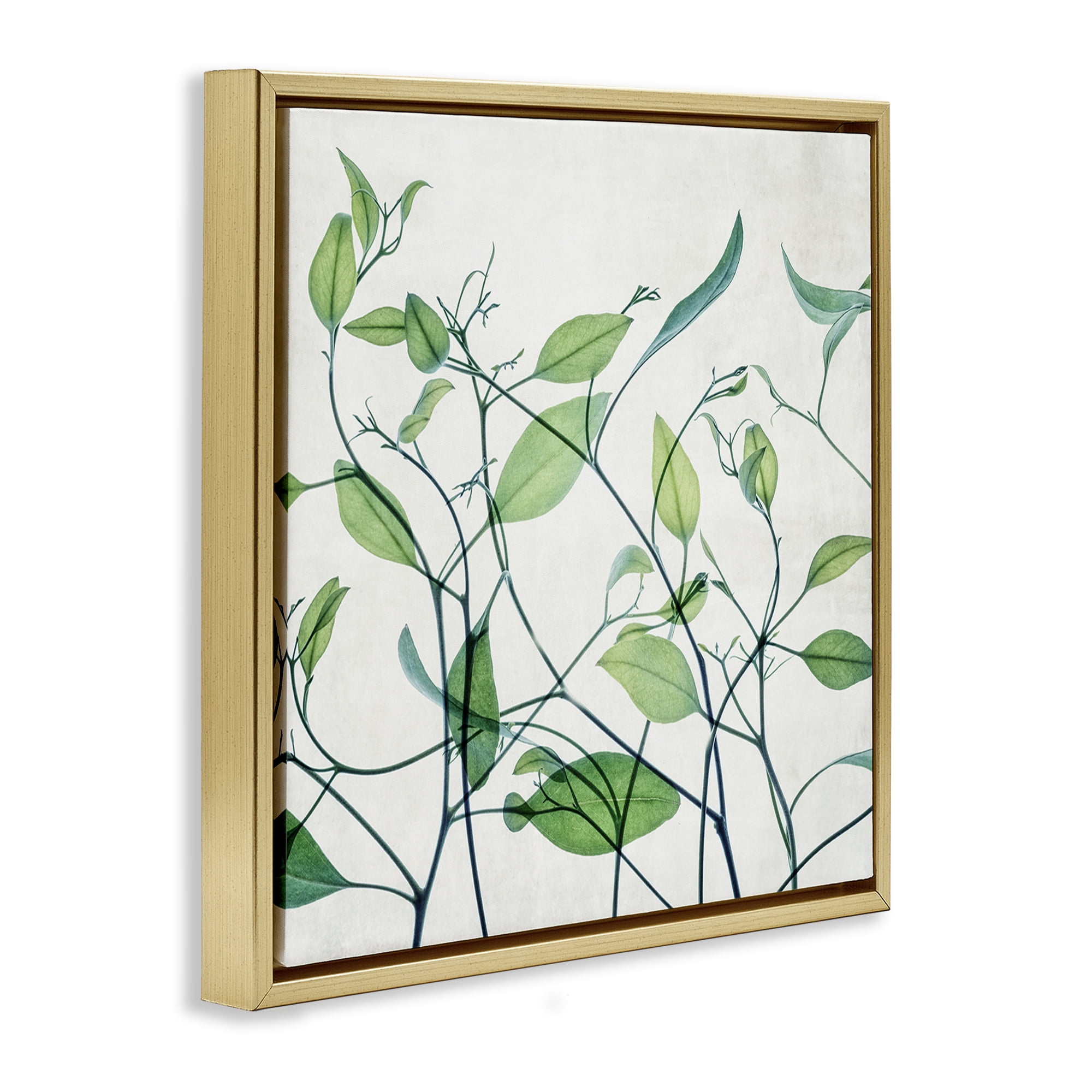Stupell Industries Modern Vine Pattern Botanical & Floral Painting Gold Floater Framed Art Print Wall Art, 18 x 18