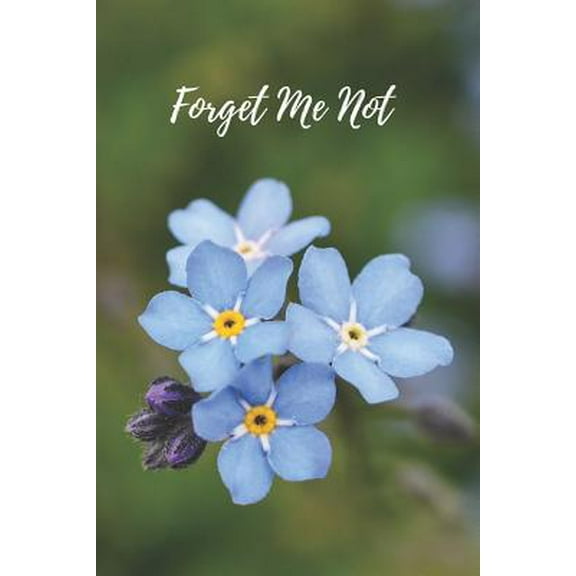 Pre-Owned Forget Me Not: Internet Password Logbook Organizer with Alphabetical Tabs, Large Print for Easy Password Keeping (Paperback) 1096713306 9781096713302