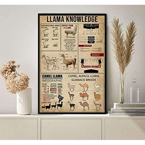 Retro Metal Tin Sign 12 X 16 Inches Llama Knowledge Poster Llama Poster Llama Lover Gift Llama Print Llama Gifts Llama Wall Art Funny Wall Decor Nostalgic Arts Decor Novelty Decorative Crafts Gifts