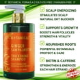 thumbnail image 3 of Botanical Hair Thickening Shampoo with Ginger & Saw Palmetto – Scalp Stimulating Formula for Hair Thinning Prevention, Energizing Scalp Care for Men & Women – 10.2 fl oz, 3 of 10