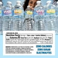 thumbnail image 6 of Splash Wild Berry Flavored Water, 16.9 Fl Oz, 6-Pack Plastic Bottles, 6 of 14