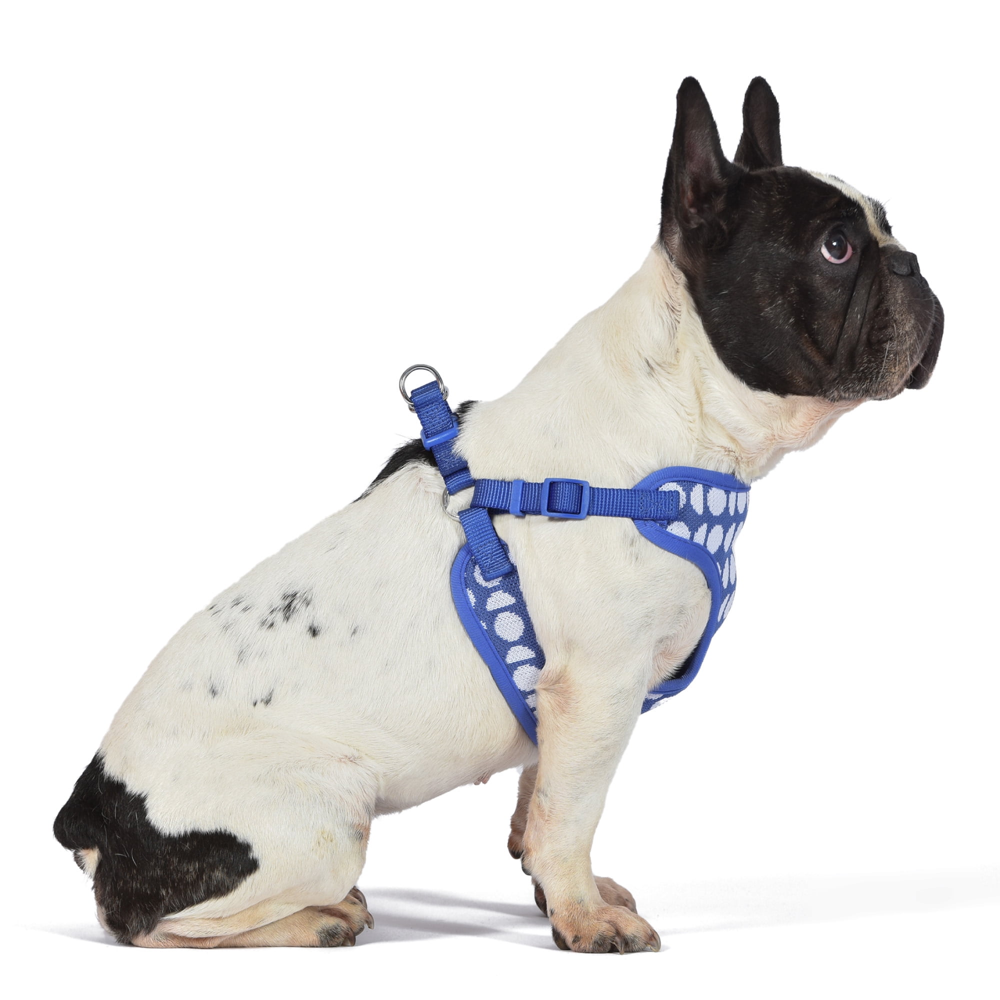 The Dodo Step-in Style Pet Harness, Blue Dodo Print, Small