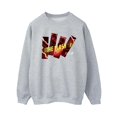 thumbnail image 1 of DC Comics Femme le Sweat Flash Piliers, 1 of 3