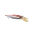 thumbnail image 1 of Modelo animal Juguete Figuras de animales Baño Cognición Juguete Vida marina Juguete sensorial Juego ñas Fiesta Favor Suministros Colecci Estilo A Hugo Figura Animales Marinos, 1 of 10