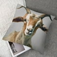 thumbnail image 7 of Happy Goat Farmhouse Pillows - Farmhouse Pillow Cover - Farm Animal Pillow Cover - Farmhouse Pillow Covers - Rustic Decor Pillow, 7 of 7