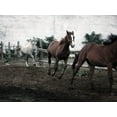 thumbnail image 2 of Villa, Milli 18x15 Gold Ornate Wood Framed with Double Matting Museum Art Print Titled - Horses Down The Dirt Road, 2 of 4