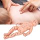thumbnail image 3 of Enseñanza De Los Meridianos Del Cuerpo De Los Niños Material De PVC Modelo De Masaje Para Niños Escuela Para La Enseñanza Operación De Precisión Puntos De Acupuntura ANGGREK Otros, 3 of 8