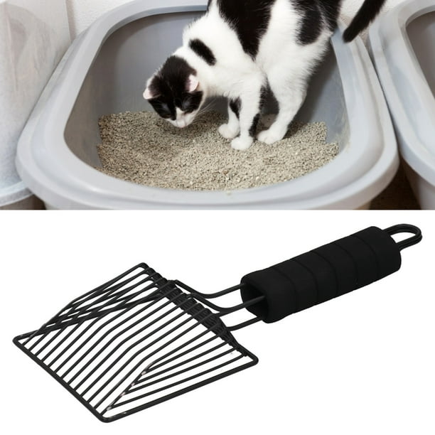 Cat sand walmart top