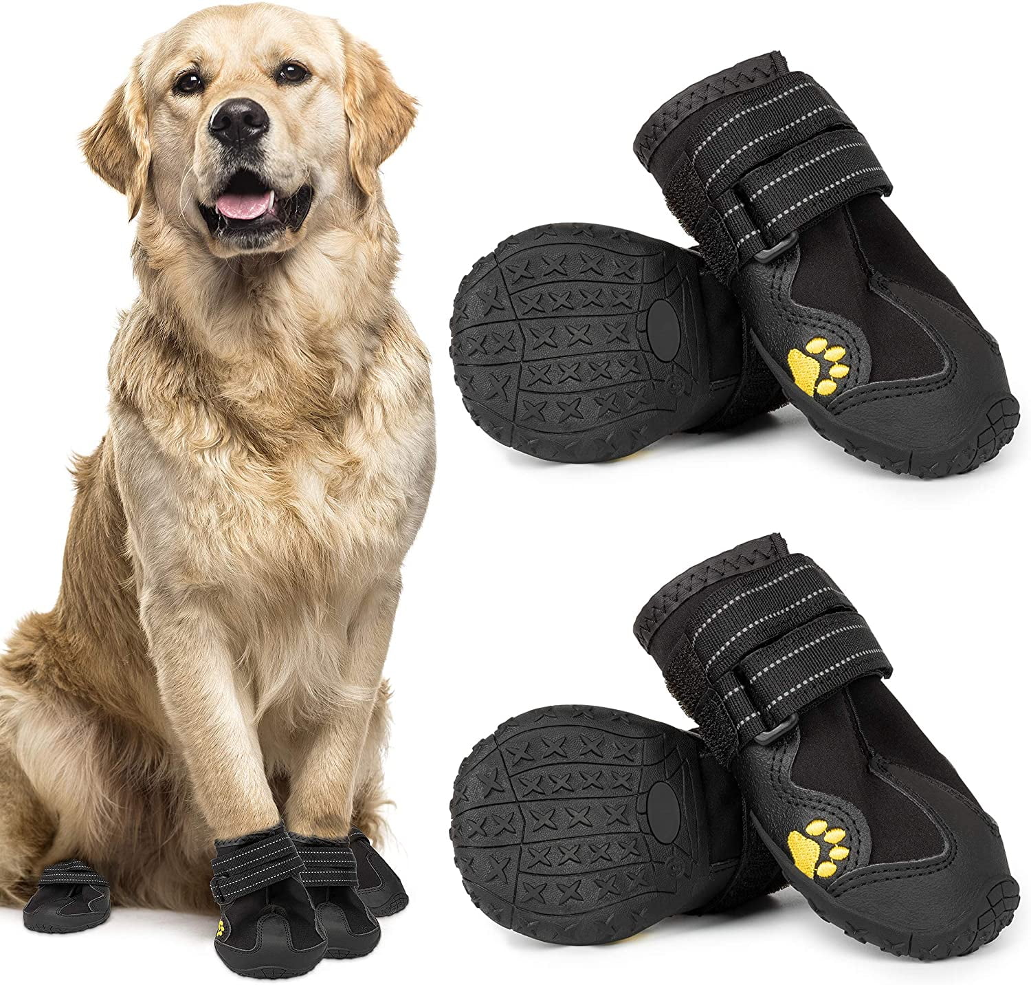 How Do You Measure A Dogs Shoe Size