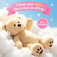 thumbnail image 2 of LotFancy Teddy Bear Stuffed Animals, Soft Plush Bear with Footprints, 10 in Plush Toy Gifts for Kids Girls, 2 of 7