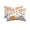 White, variant on Pack of 2 Outdoor Lumbar Pillow Covers 11x16 Inch, Vintage Pumpkin Fall Waterproof Throw Pillow Covers Set, Thanksgiving Weeping Maple Leaves Decorative Cushion Cases for Patio Porch Car