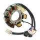 thumbnail image 4 of Estator Magnético Para Moto De Nieve, 3005-080 Estator De Encendido De Alta Resistencia Duradero Cobre Baja Pérdida Magnética Para Reparación, 4 of 7