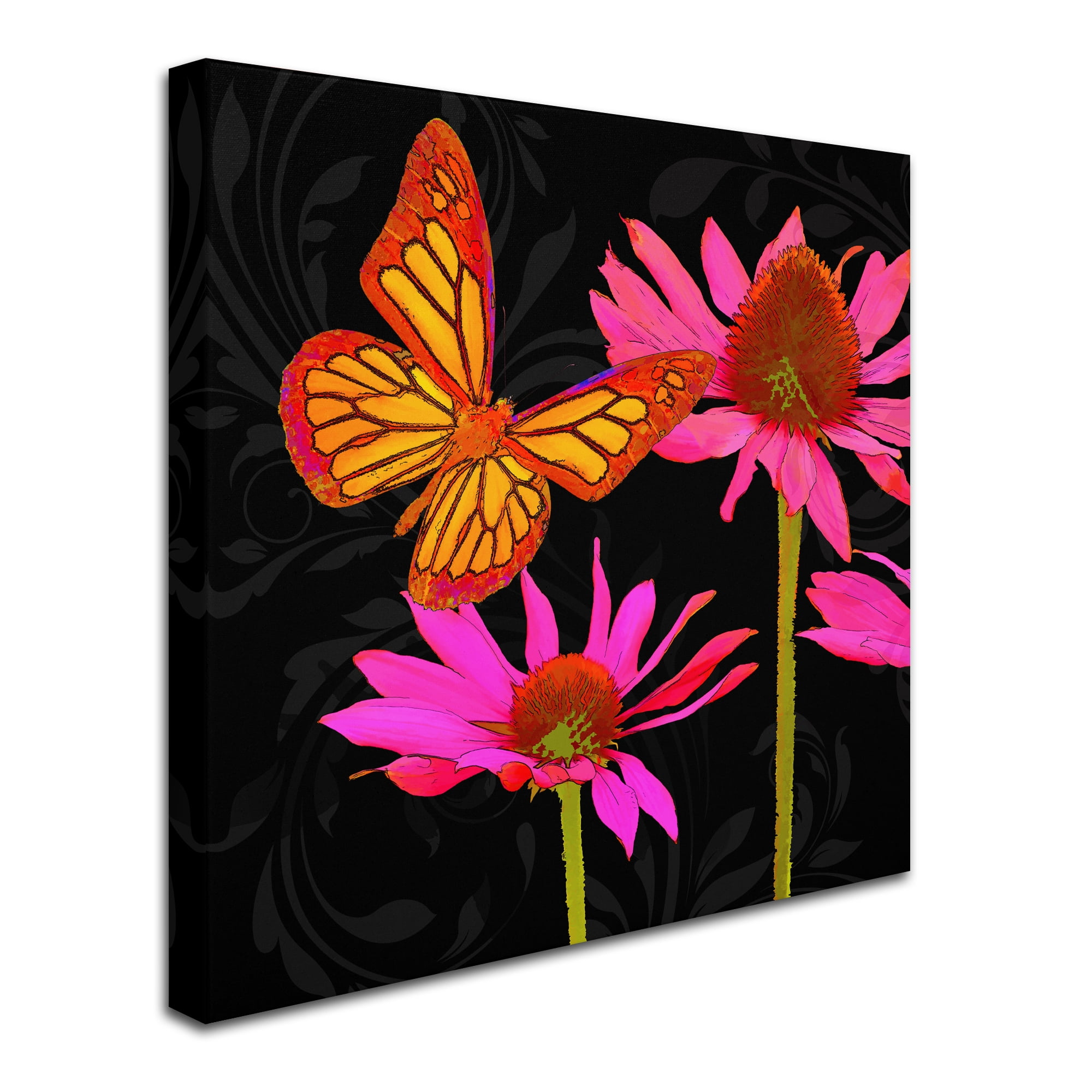 Trademark Fine Art 'Color Pop II' Canvas Art by Tina Lavoie