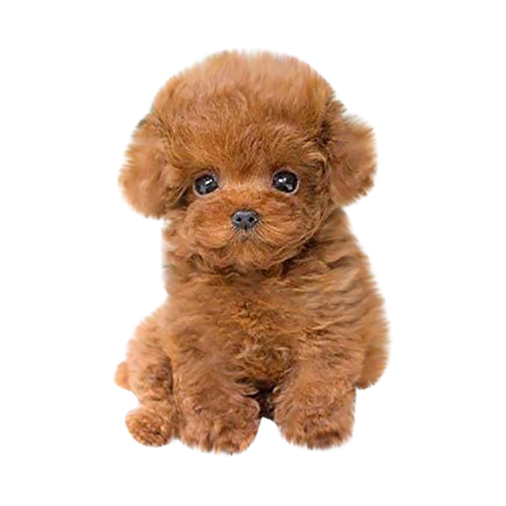 Realistic Cute Husky Samoyed Dog Lifelike Animal Toy Model Birthday Gift Brown 