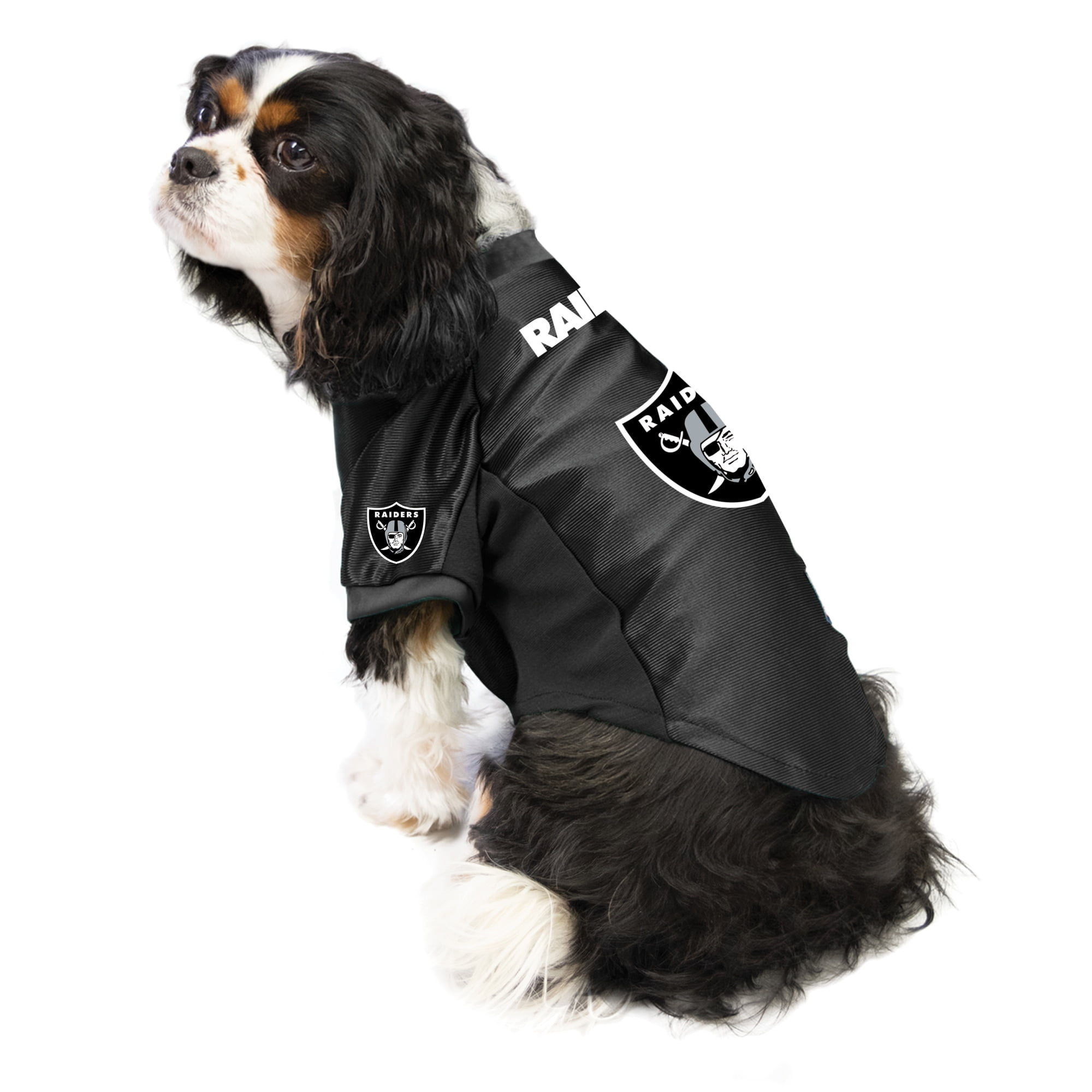 puppy raiders jersey