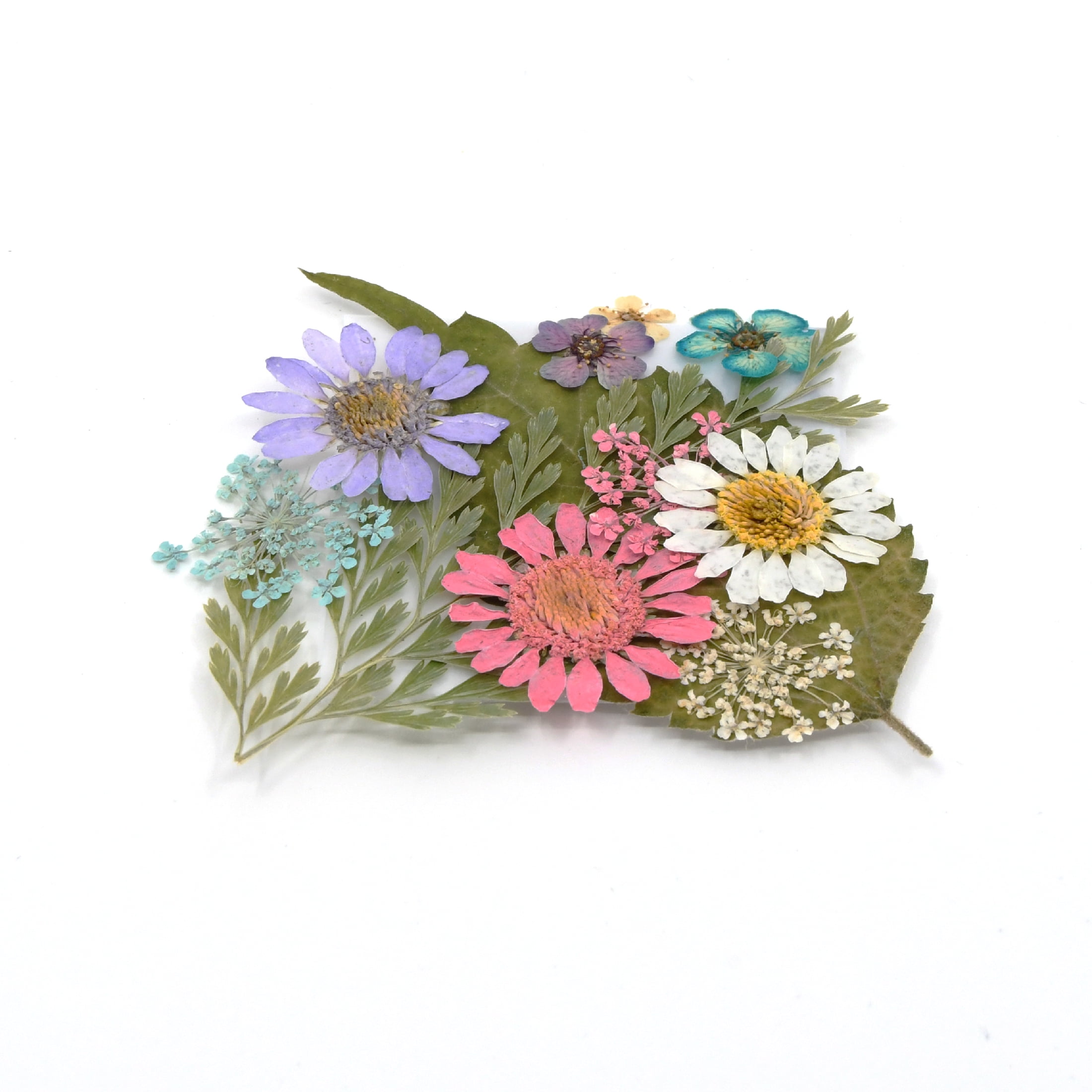 Blue Moon Beads Assorted Dried Flower Mix for UV Resin, 11 Pieces