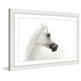 thumbnail image 6 of Marmont Hill "White Beauty" Framed Painting Print, 6 of 6