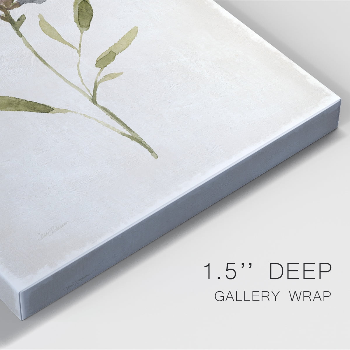 Botanical Beauty II Premium Gallery Wrapped Canvas - Ready to Hang