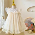 thumbnail image 2 of Oferta especial, vestido Floral para niñas, traje de verano sin mangas de malla, falda de princesa para fiesta de cumpleaños, ropa para niños, faldas informales, 2 of 5