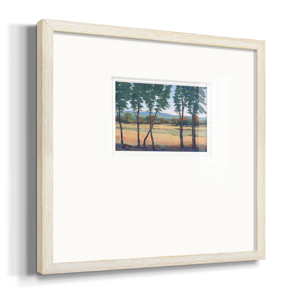 Still Morning IPremium Framed Print