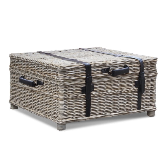 Homestock Rococo Radiance Woven Coffee Table Trunk