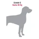 thumbnail image 4 of Cadena De Amarre 1.8m Para Perro Grande Hasta 40 Kg, 4 of 7