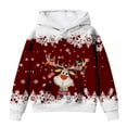 thumbnail image 4 of Byoo Toddler Girls Sweatshirts Cartoon Deer Graphic Crew Neck Long Sleeve Pullover Girls Xmas Autumn Winter Oversized Hoody, 4 of 4