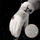 thumbnail image 4 of Guantes de ciclismo de invierno Golovejoy, resistentes al frío y cálidos, impermeables, antideslizantes, resistentes al desgaste, para exteriores, 4 of 5