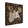 thumbnail image 2 of Trademark Fine Art 'Precious Antlers IV' Canvas Art by Wellington Studio, 2 of 3