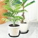 thumbnail image 3 of 2 Platos Reutilizables para Macetas con Drenaje, Redondos, Prácticos, Ideales para Plantas, Bonsáis y Sábanas., 3 of 7