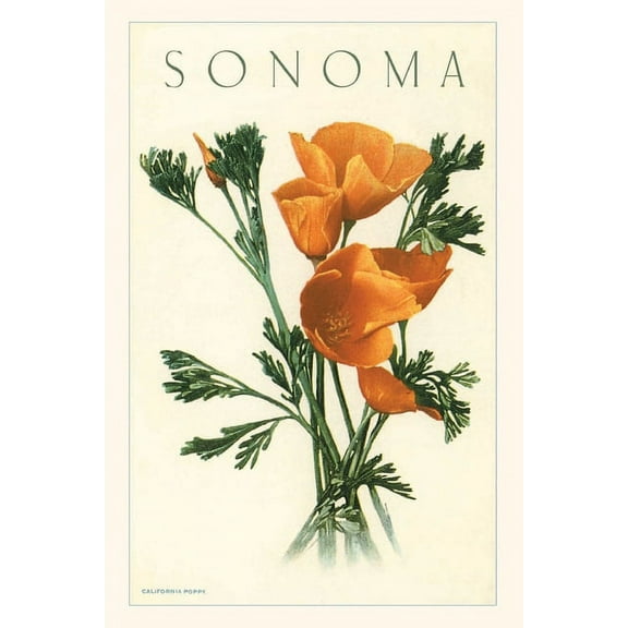 Pocket Sized - Found Image Press Journals: Vintage Journal California Poppies, Sonoma (Paperback)
