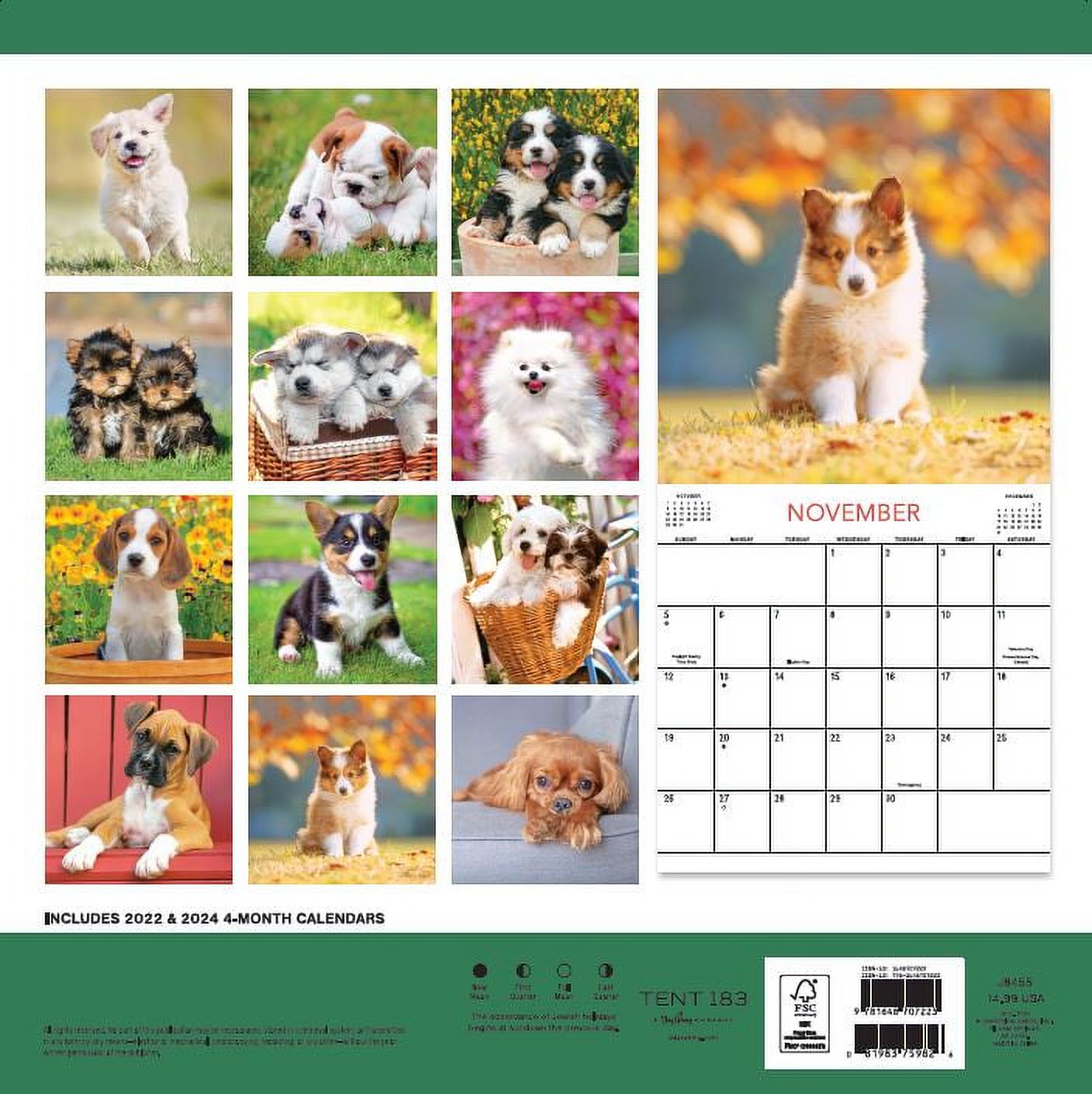 2023-12 Month Calendar- Puppies 12x12 Hanging Wall Calendar