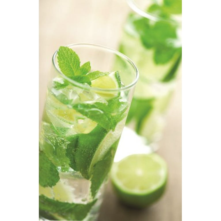Torani Mojito Mint シロップ 750ml. 12本セット Torani Torani Mojito Mint Syrup 750 ml. 12/ct. | Round Eye