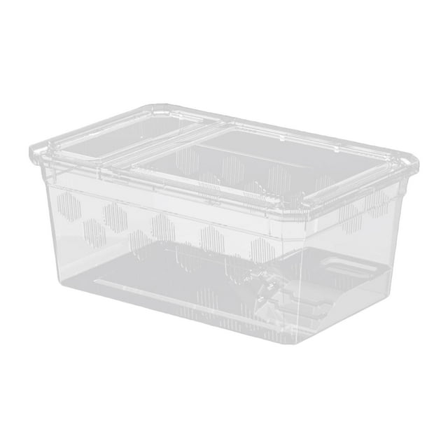 BELOVING Boîte d'Alimentation pour Reptiles Cage de Reproduction pour Dragon Barbu Tarantula Transport avec Terrasse
