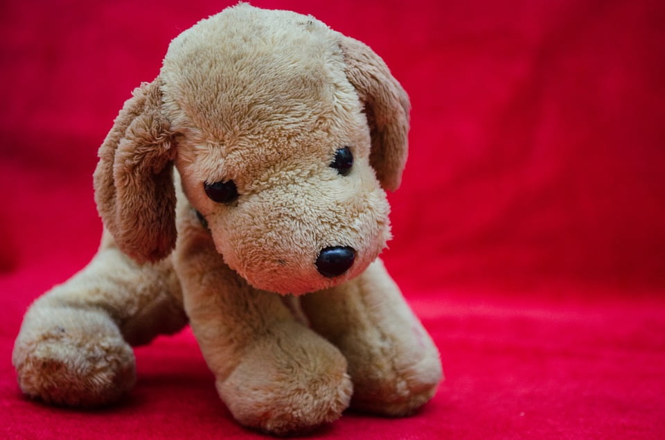 cute puppy soft toy