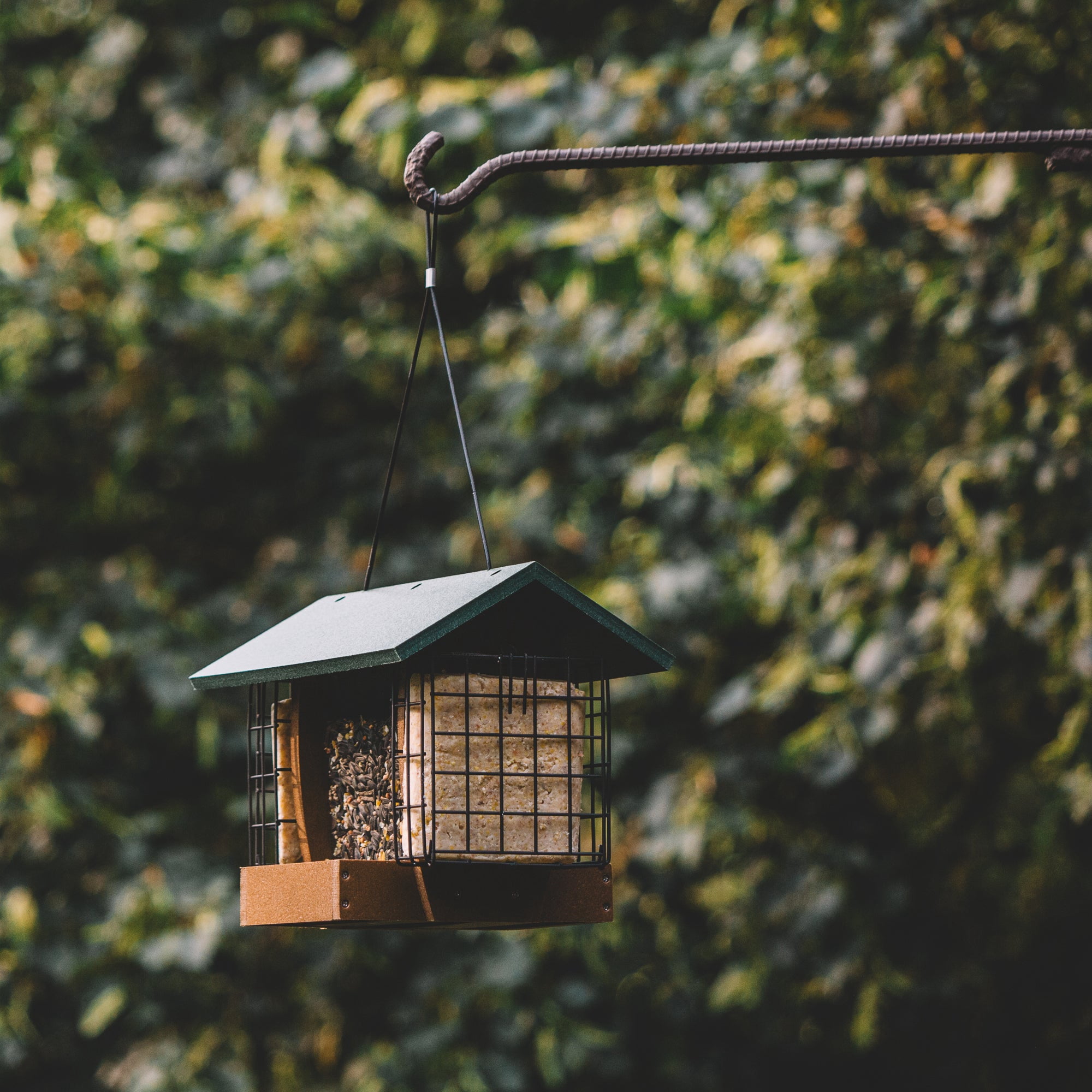 Backyard Expressions WASATCH Plastic Lumber Bird Feeder w/ Suet Cages