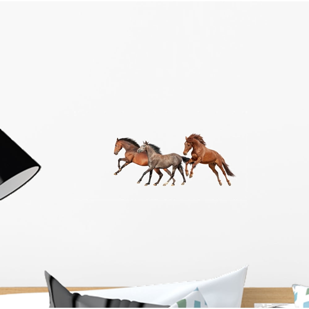 Herd Beautiful Horses Wall Decal Wallmonkeys Peel and Stick Graphic (12 in W x 6 in H) WM502596