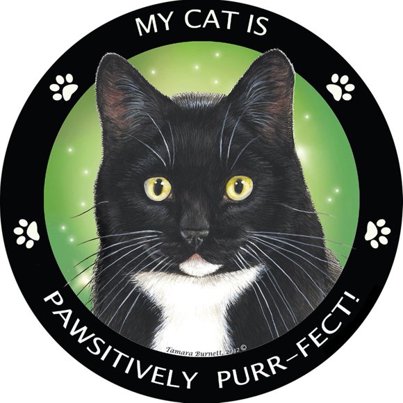 Black & White Tuxedo Pawsitively Purr-FECT Cat Circle Magnet by Pet Gifts USA is 5.5" x 5.5" Made for Vehicles and Refrigerators