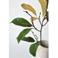 thumbnail image 7 of 28" Faux Magnolia Leaf Branch Stem, 7 of 7