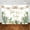 7x5ft, variant on 10x8ft Taco 'Bout A Baby Fiesta Party Decoration Photography Background Cactus Taco Pampas Grass Gender Neutral Baby Shower Backdrops Photoshoot