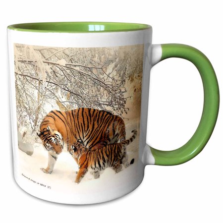 

3dRose Siberian Tiger and Cub - Two Tone Green Mug 15-ounce