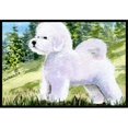 thumbnail image 1 of Carolines Treasures SS8900MAT Paillasson Intérieur Extérieur 18 x 27 Po. Bichon Frise, 1 of 4