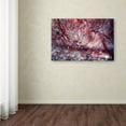 thumbnail image 3 of Trademark Fine Art "Beautiful Chaos" Canvas Art by Beata Czyzowska Young, 3 of 3