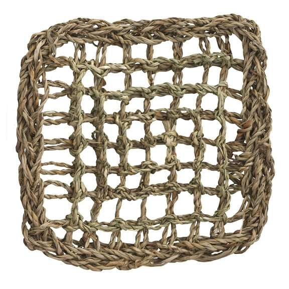 Super Bird Creations SB50001 Seagrass Mat for Cage Decor, Pet Enrichment and Boredom Relief - Versatile Toy-Making Base - Ideal for Parrots - Small to Large Birds & Reptiles - 7"x7" (1 Pack)