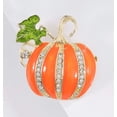 thumbnail image 2 of Fashionable Halloween Pumpkin Brooch Pin Versatile Studded Vegetable For Festive Celebrations, 2 of 3