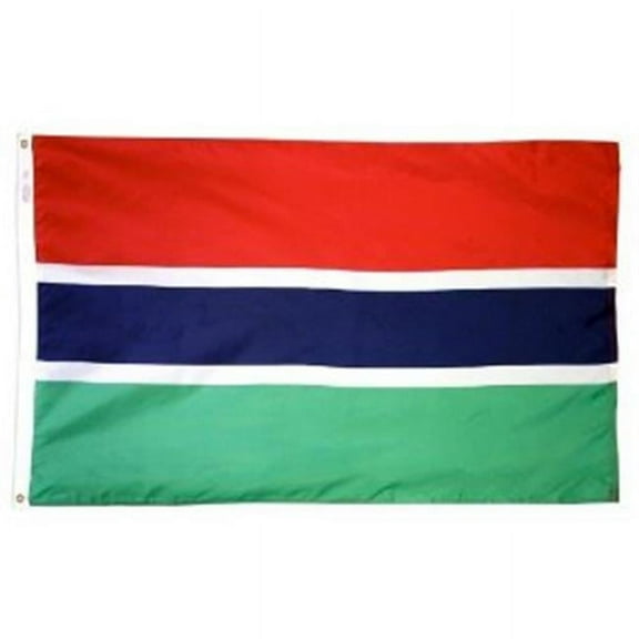 4 ft. X 6 ft. Nyl-Glo Gambia Flag
