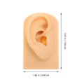 thumbnail image 3 of Weiweiguan Silicone Simulated Ear Model Ear Piercing Model Practice Teaching Prop, 3 of 6
