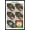 Black Framed Version, variant on Minecraft - Simple Comic Alex Cry Wall Poster, 14.725" x 22.375" Framed