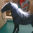 thumbnail image 5 of Realistic Horse Model Figures Figurine Toy Collections Home Desk Decor Black, 5 of 5